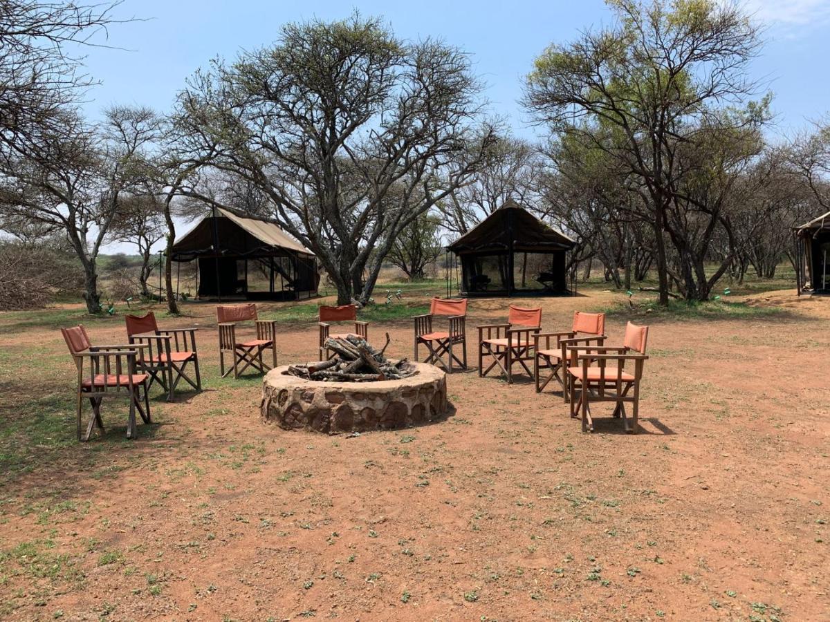 Zebra Nature Reserve Cullinan Kültér fotó